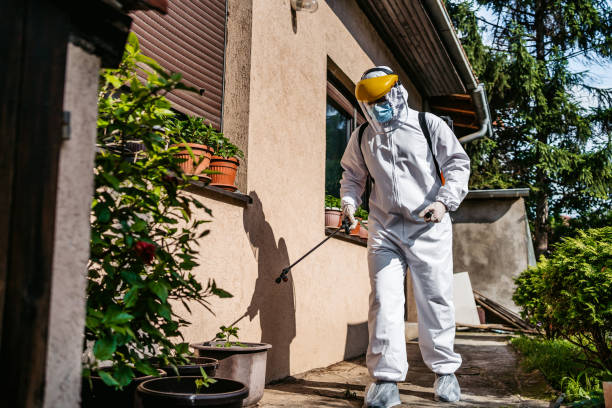 Wasp Removal Services in Pomeroy, WA